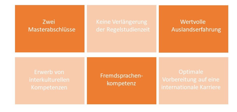 Vorteile des Doppelmaster: Zwei Masterabschlüsse, keine Verlängerung der Regelstudienzeit, wertvolle Auslandserfahrung, Erwerb von interkulturellen Kompetenzen, Fremdsprachenkompetenz, optimale Vorbereitung auf eine internationale Karriere