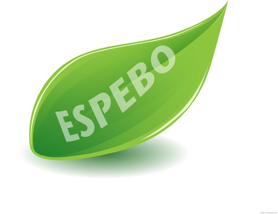 ESPEBO: Nachhaltiges Verhalten in der Organisation verstehen und fördern