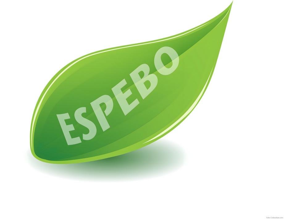 ESPEBO: Ways to successfully promote sustainable employee behaviour