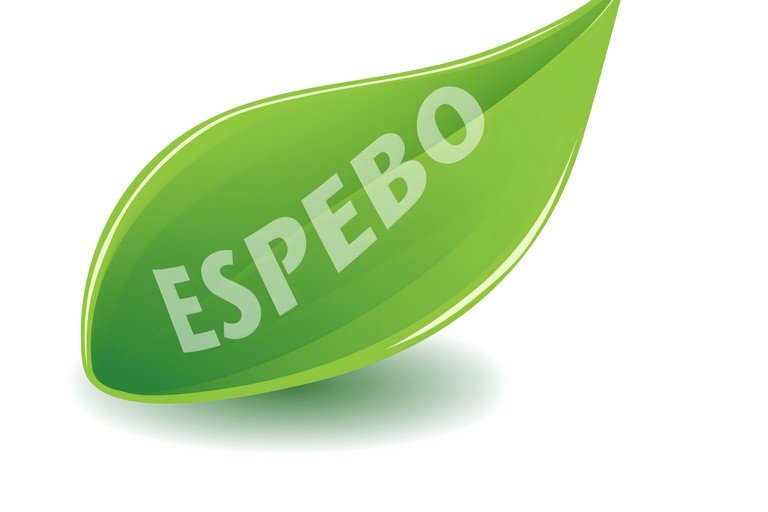 ESPEBO Ways to successfully promote sustainable employee behaviour