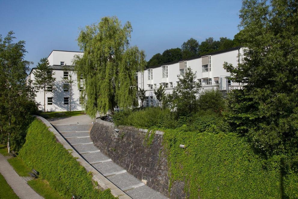 School of Business, Economics and Information Systems