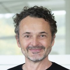 Prof. Dr. Harry Haupt