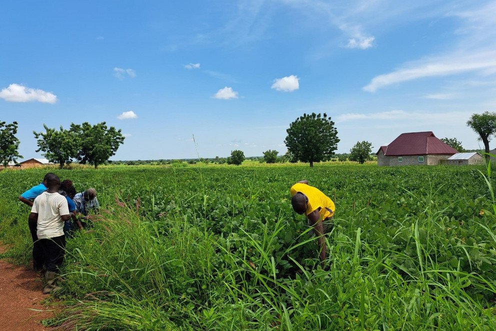 Picture near Tamale, Ghana