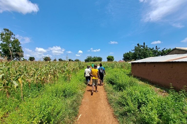 Landschaft in Ghana