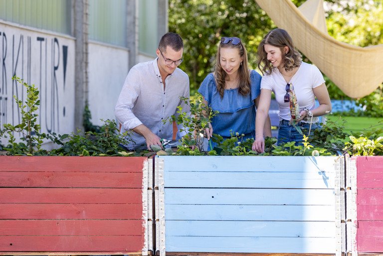 Urban Gardening at the University