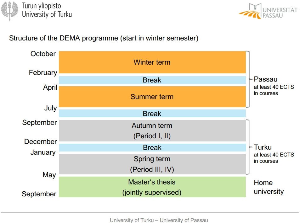 Structure of the Programme