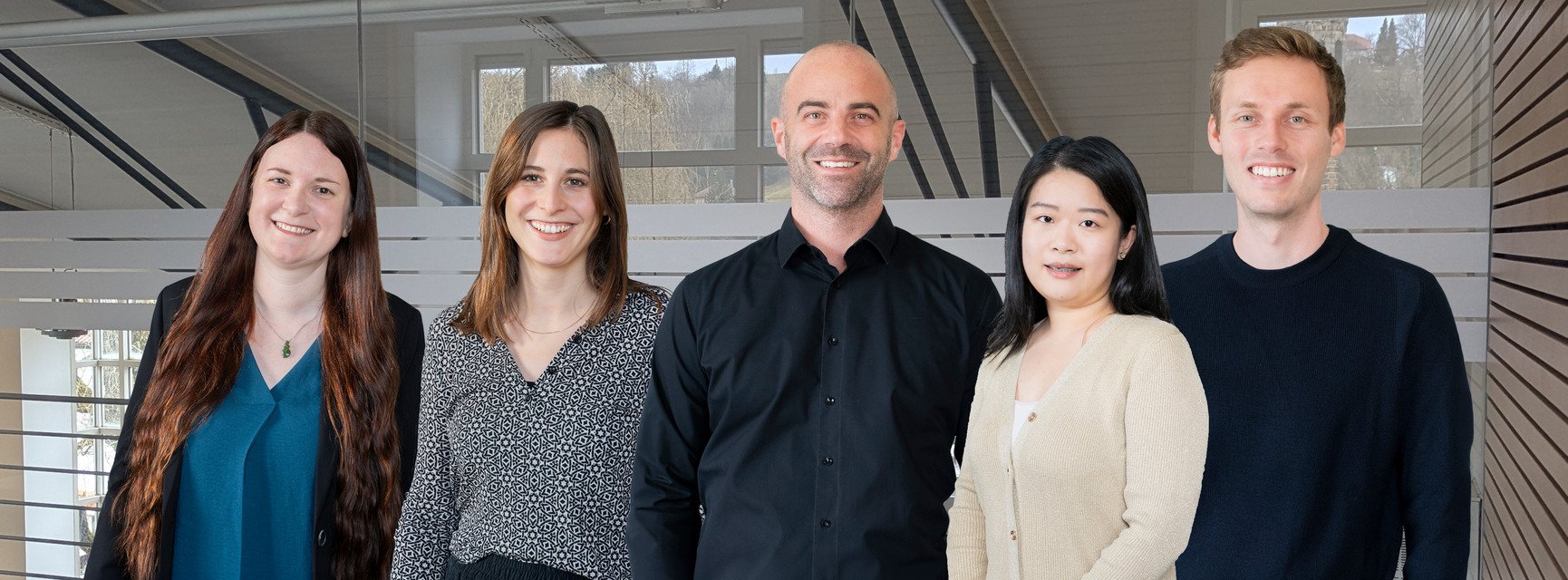 Decorative banner image