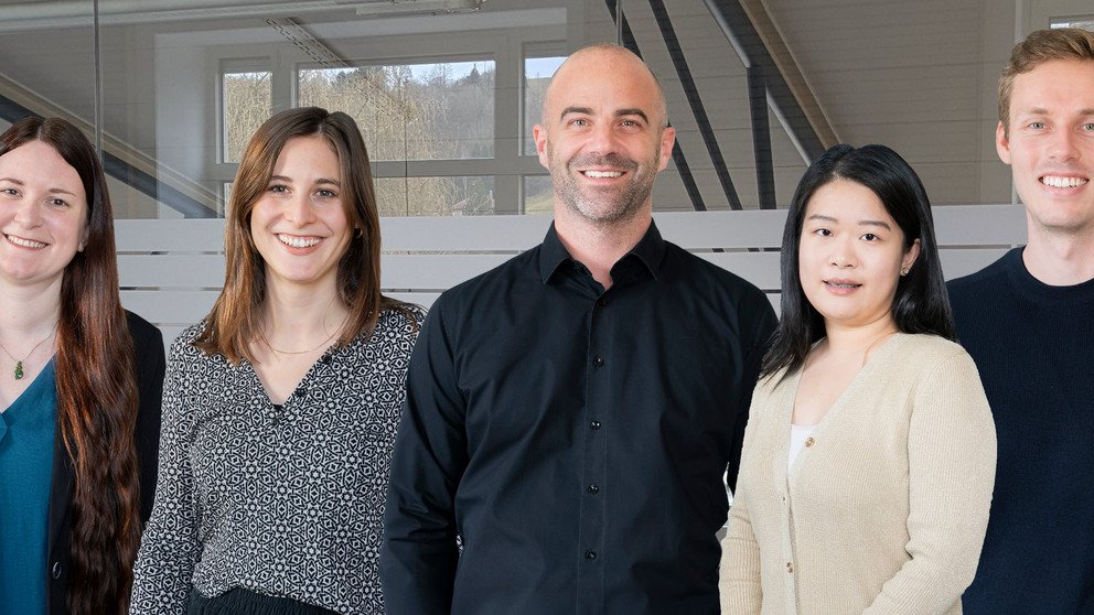 Decorative banner image