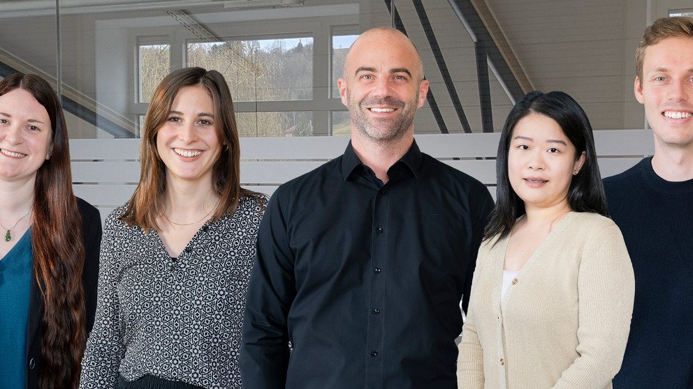 Dekoratives Bannerbild