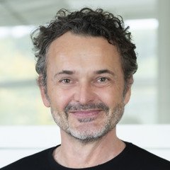 Prof. Dr. Harry Haupt