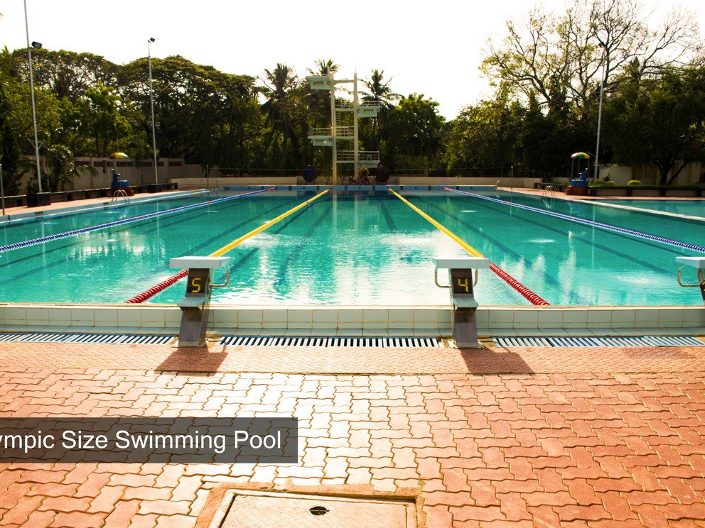 Pool at the IITM