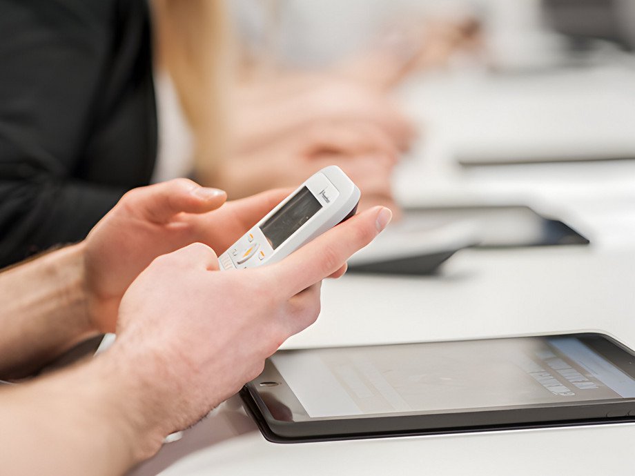 Wie handeln Organisationen im Kontext diskontinuierlicher strategischer und technologischer Innovationen, und welchen Einfluss hat dieses Adaptionsverhalten auf den Organisationserfolg?