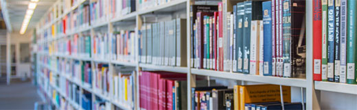 Rubrik Studium Lehrstuhl für Internationales Management Rubrik Studium Lehrstuhl für Internationales Management