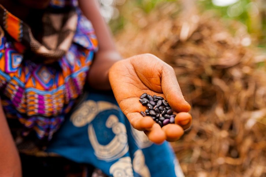 Female Empowerment against World Hunger