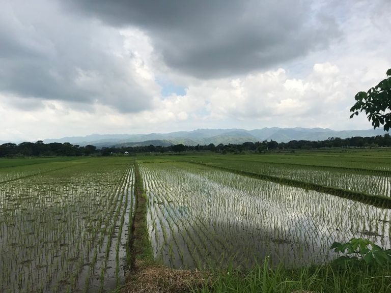 DBU-Pilotstudie in Indonesien: Nachhaltige Landwirtschaft kombiniert mit digitalen Bodentests